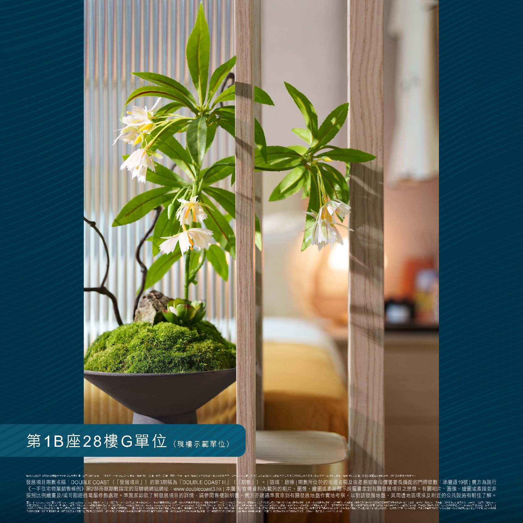 DOUBLE COAST III 相片集三
